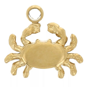 CHARMS acier inoxydable (pour collier ou bracelet personnalisé)
